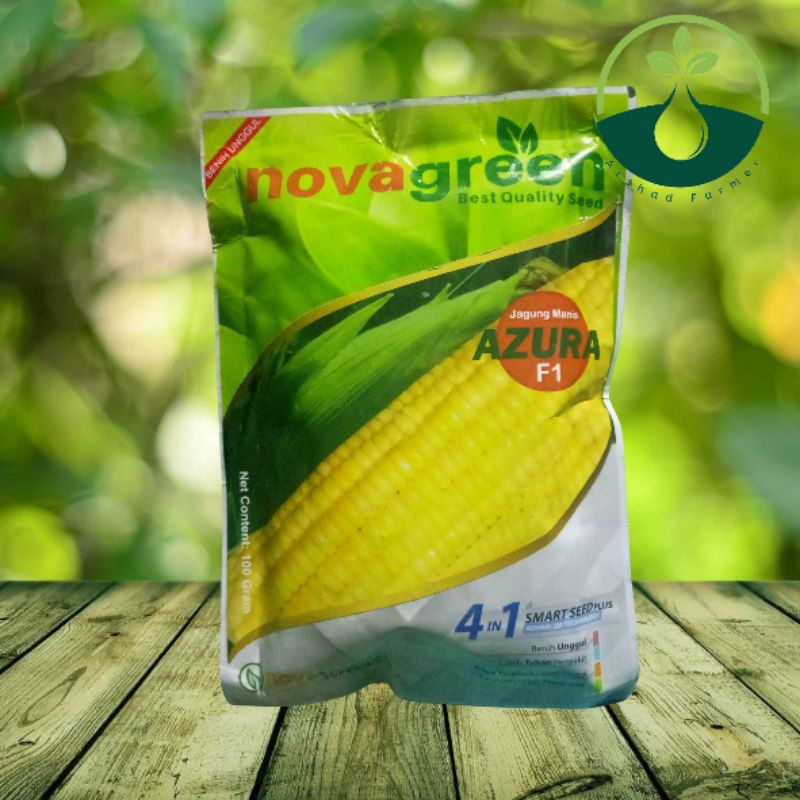 

Benih Jagung Manis Azura F1 100 gram High Quality