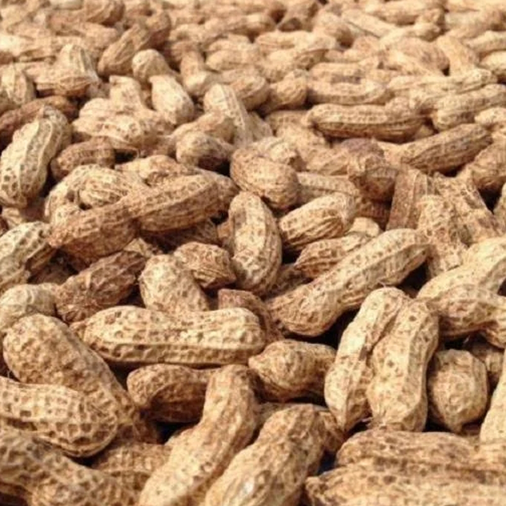 

KACANG TANAH KACANG KULIT MENTAH SETENGAH KILO