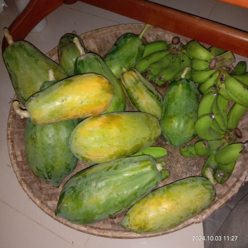 

[Jadwal cek stok di kebun hari minggu] [PO] Pepaya - Dijual Satuan - Buah Pepaya - Mentah/Matang