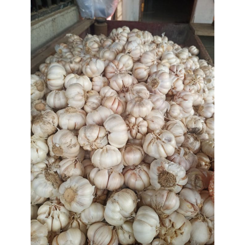 

Bawang putih Super 500g