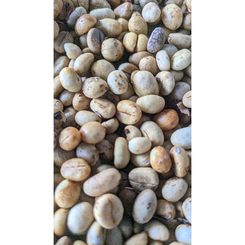 

Kopi Mengkubung Asli BANGKA