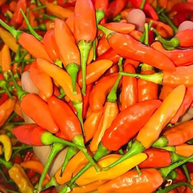 

Cabai Rawit Kualitas Pilihan Fresh 1 Kg