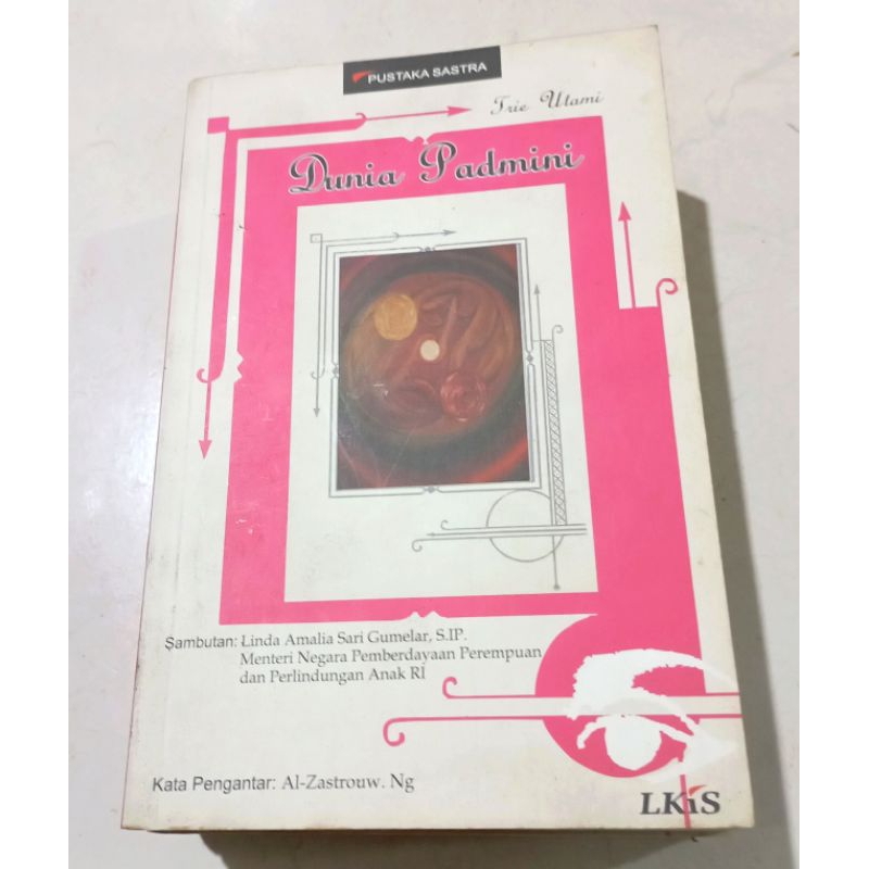 ( OBRAL ) BUKU SEJARAH SASTRA // DUNIA PADMINI // ORIGINAL