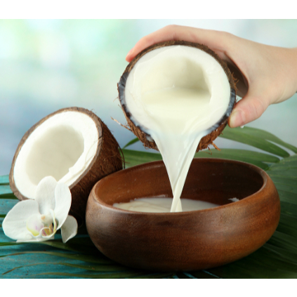 

KIRIM INSTAN Santan Kelapa Fresh