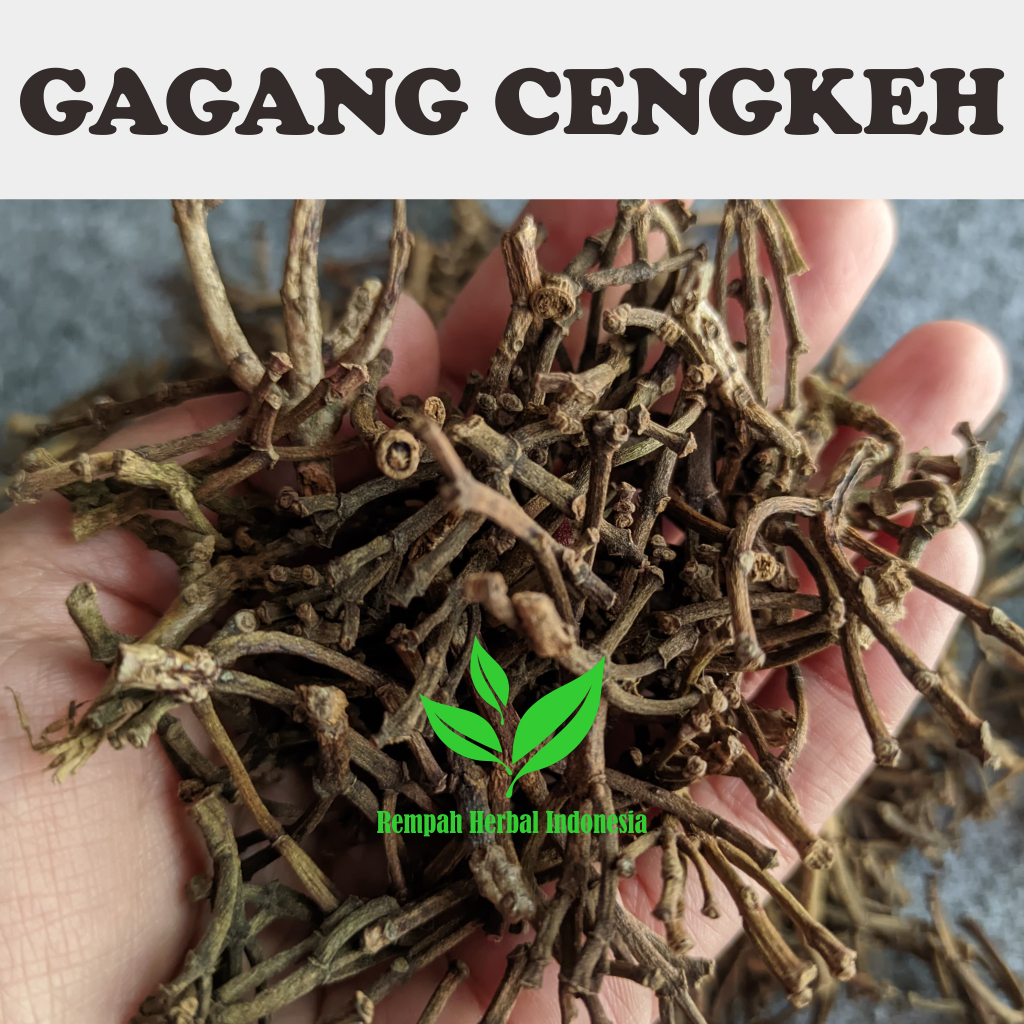 

100 gr Batang / Gagang Cengkeh Kering Murni Grade A untuk Minuman Herbal
