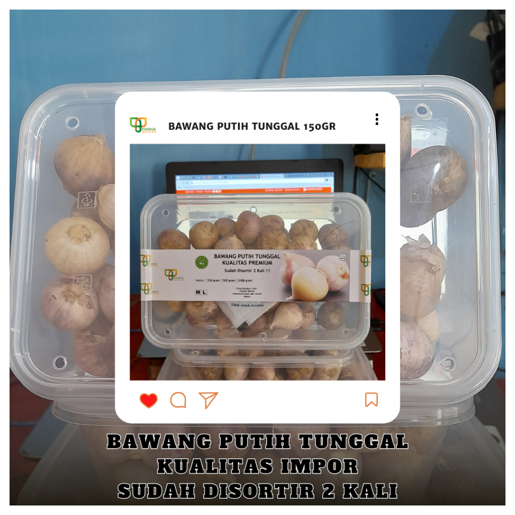 

Bawang Putih Tunggal Lanang Isi 150 250 500 Gram Kualitas Impor Terbaru Fresh