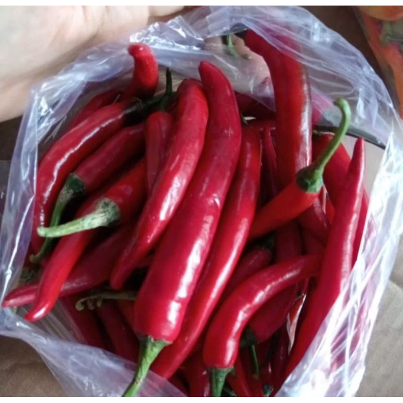 

CABE merah 500gr