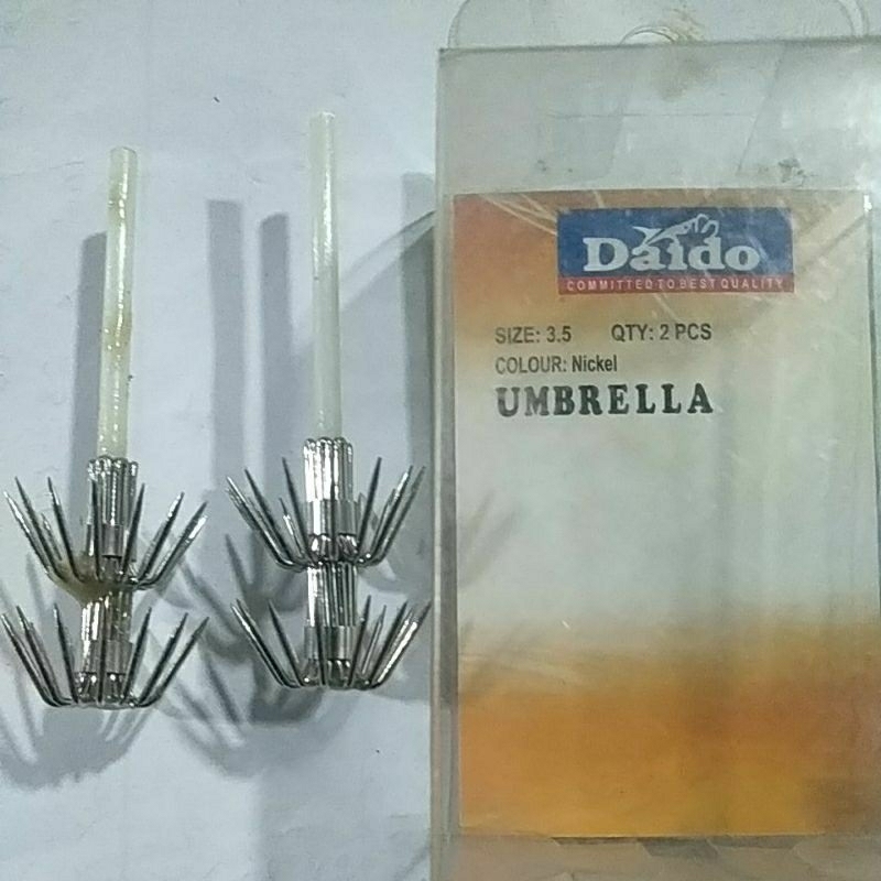 daido umbrella squid garong cumi