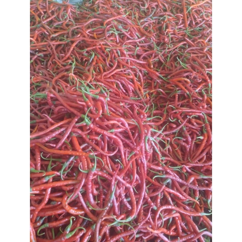 

Cabe Merah Keriting 1kg