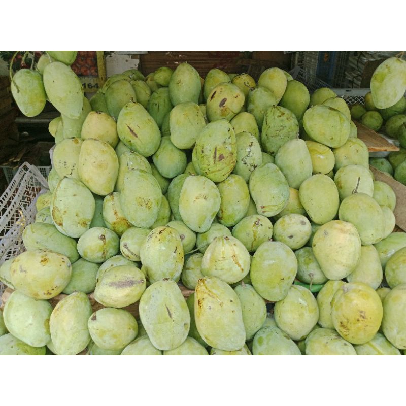 

MANGGA INDRAMAYU