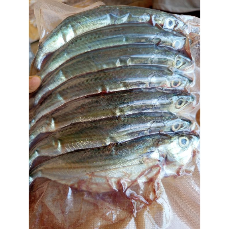 

ikan kembung Fress siap goreng