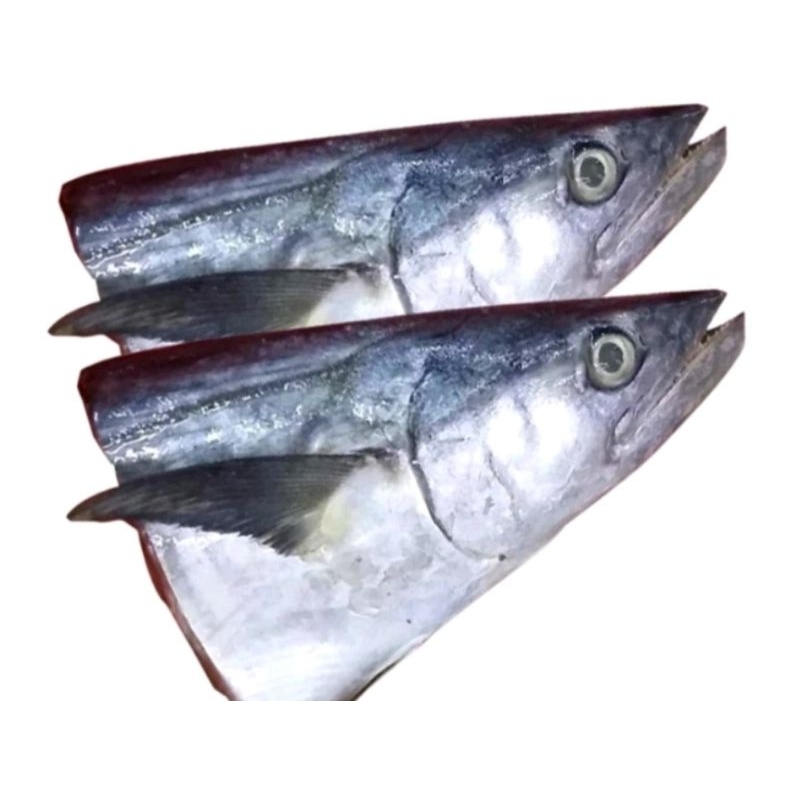 

Grosir Kepala Tongkol +- 500gr