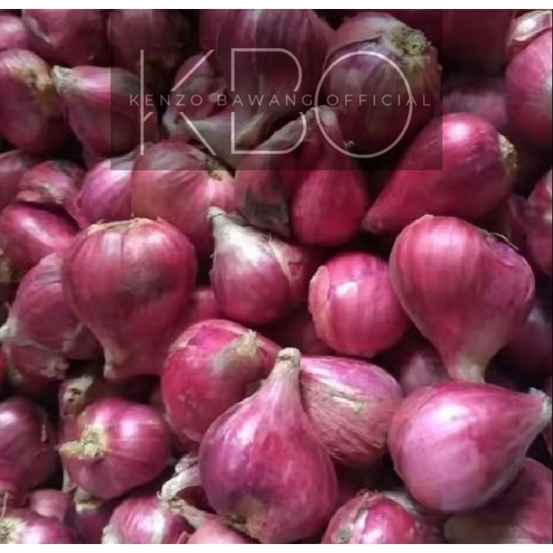 

Bawang Merah Brebes 1kg