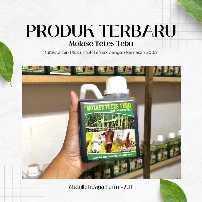 

PROMO PAKET HEMAT 4 JERIGEN MOLASE TETES TEBU FERMENTASI ALAMI