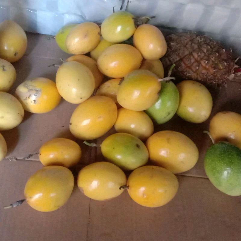 

Buah Markisa kuning 1kg