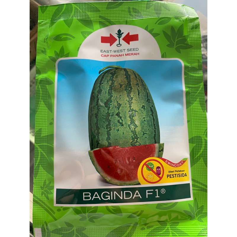 Baginda-bibit semangka