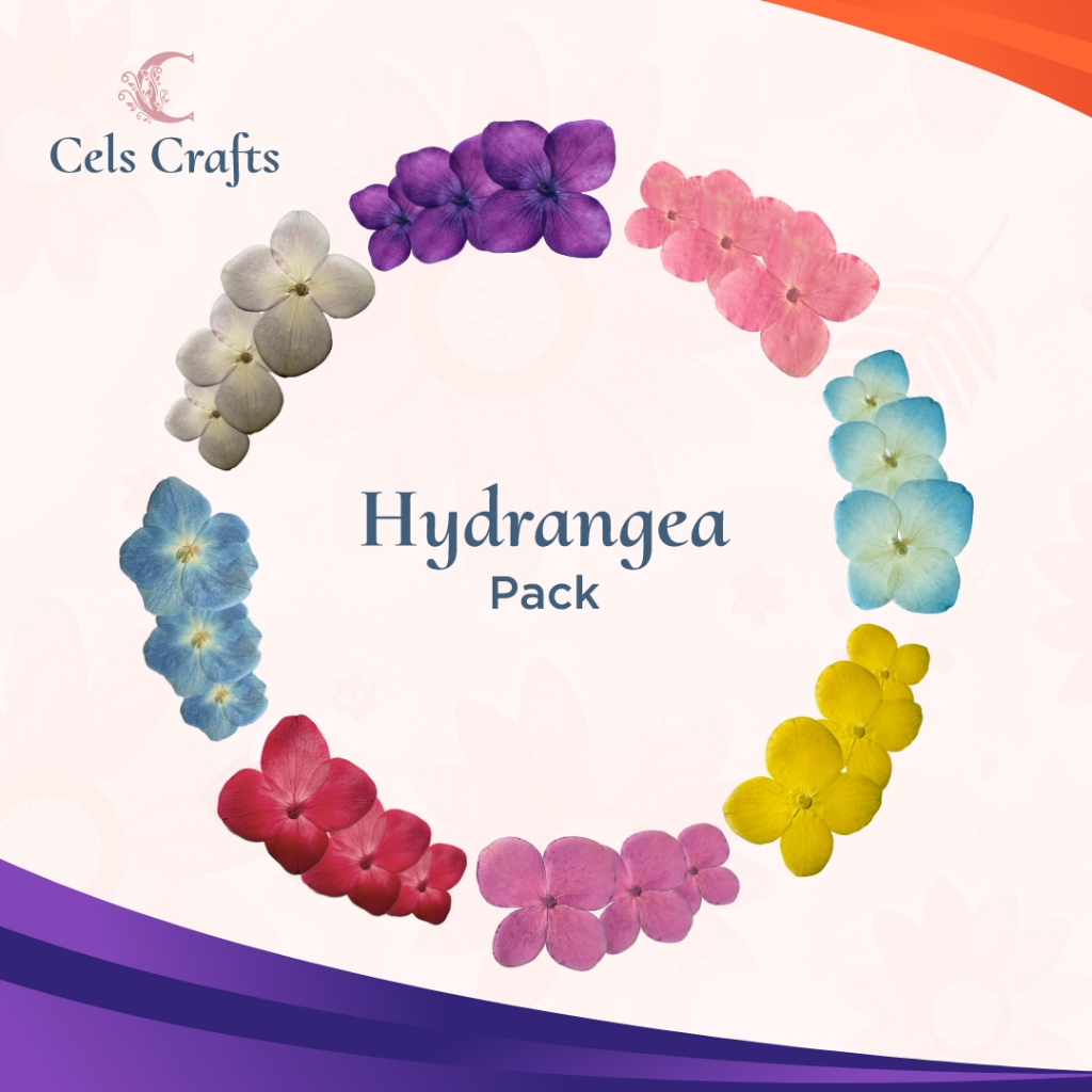 [Pack] Hydrangea Flower / Bunga Hydrangea Press / Bunga Hortensia Kering Oshibana Berkualitas