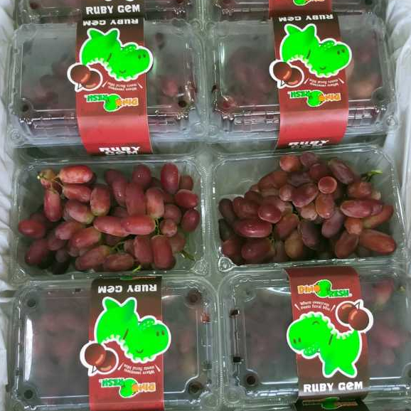 

ANGGUR CRIMSON MERAH TANPA BIJI