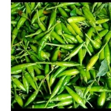 

Cabe rawit ijo 100 grm