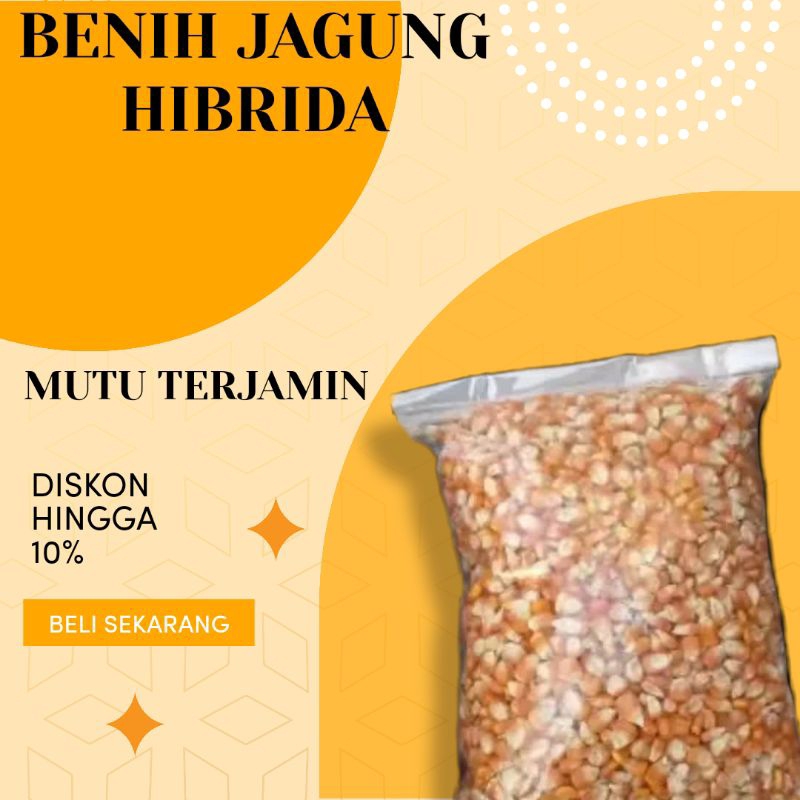 Jual Benih Jagung Hibrida Super Siap Tanam/Jagung Hibrida Lokal Kemasan=1 kg