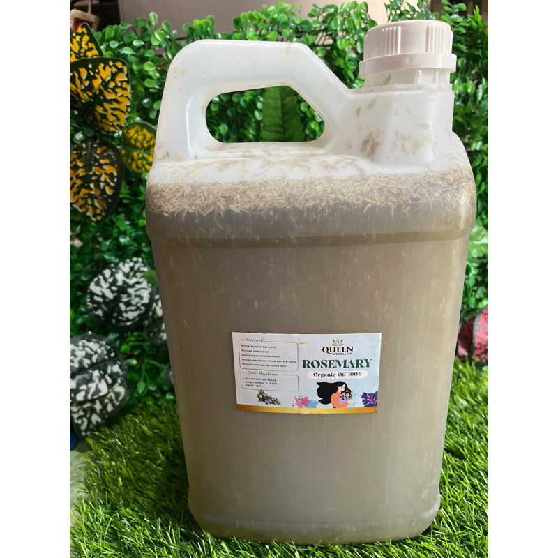 PAKET USAHA BPOM SPP-IRT 5liter,20liter,50literROSEMARY INFUSED 5in1 HERB OIL 100% MURNI