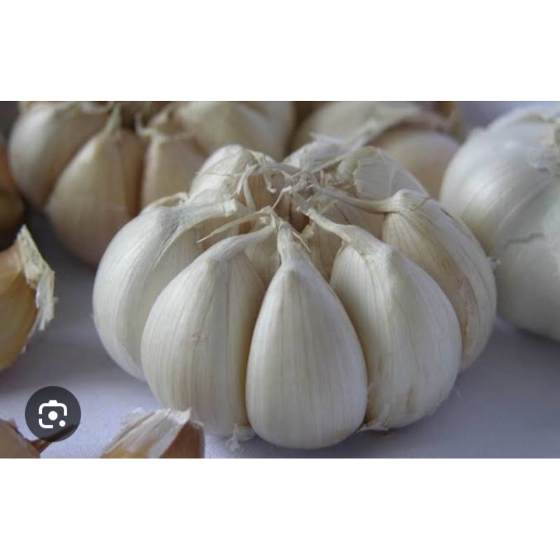 

bawang putih 500 gram