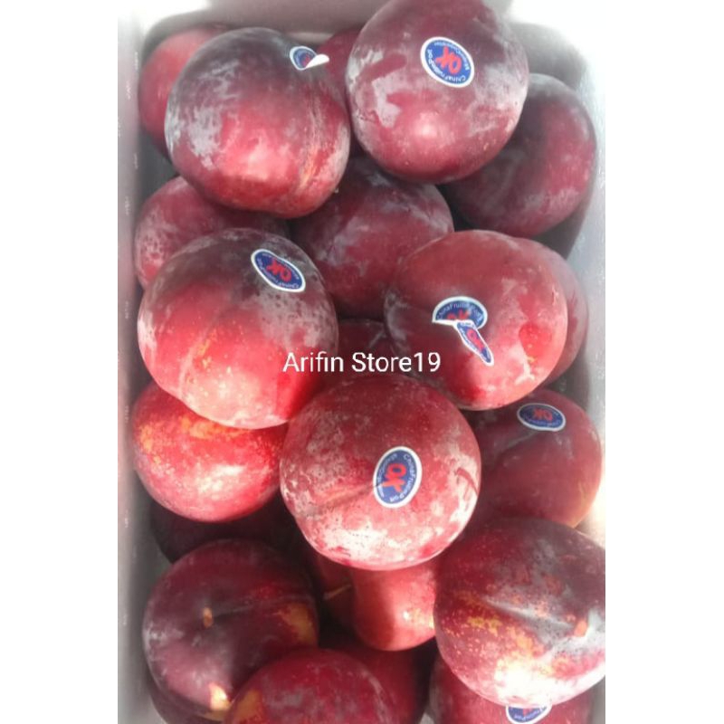 

Plum Red RRC 1 Kg / Buah Plum Merah / Manis - Segar