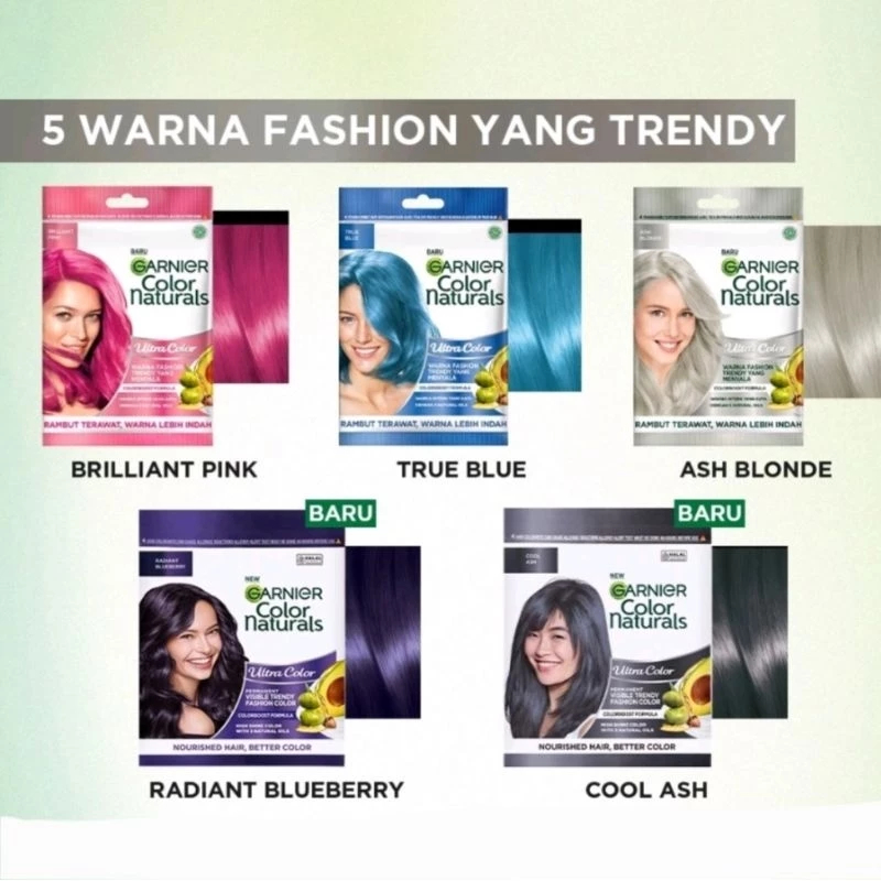GARNIER PEWARNA RAMBUT