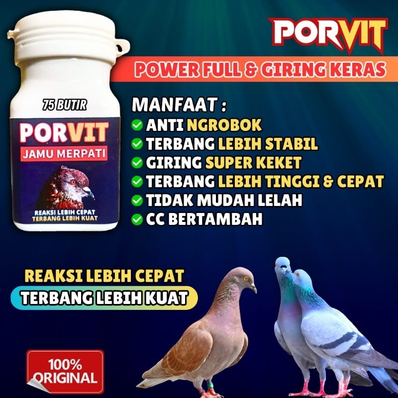 OBAT KUAT TERBANG MERPATI PORVIT