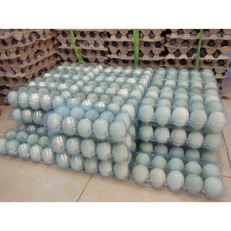 

telur asin masir "mamalu