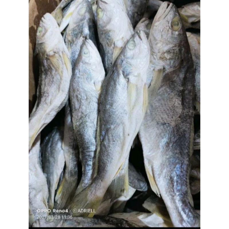 

Ikan Asin Samge Khas Medan Fresh 250 gram