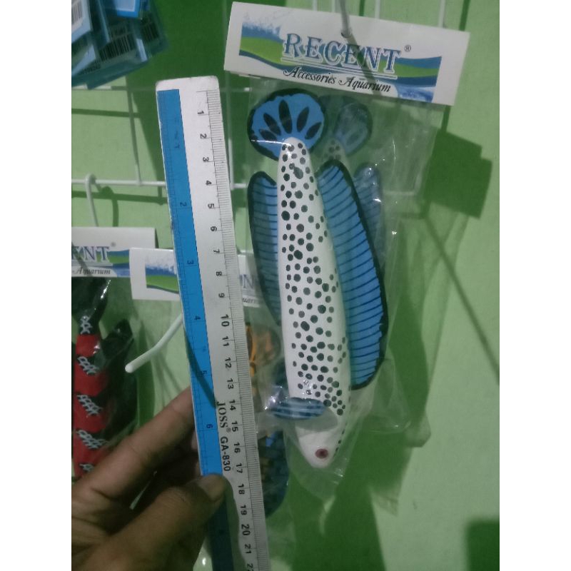 patung channa stewarti