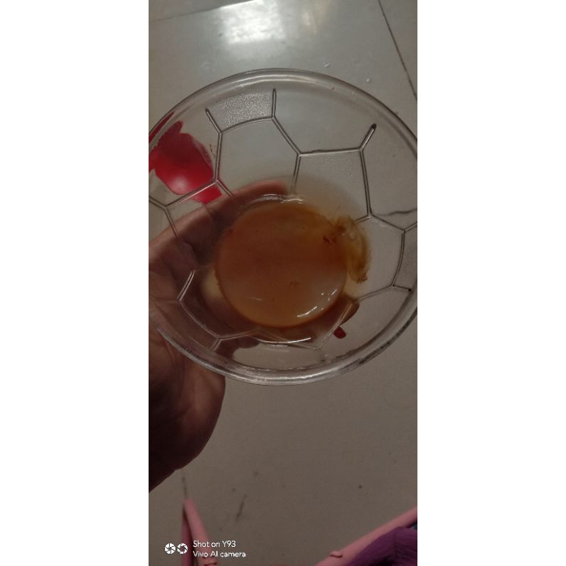 

KOMBUCHA Teh Seribu Manfaat