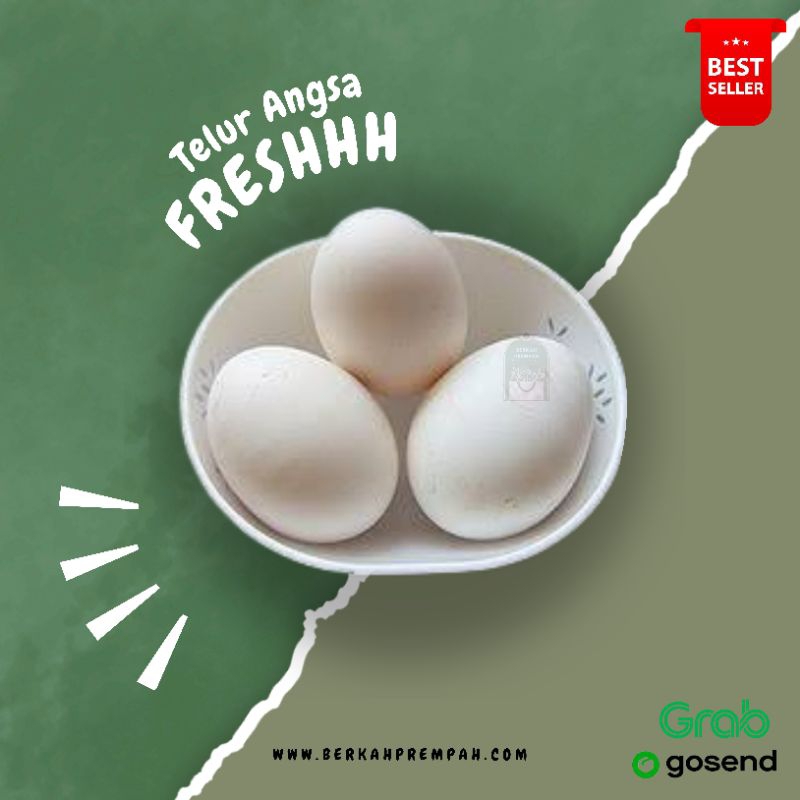 

Telur soang / angsa fresh - 1butir
