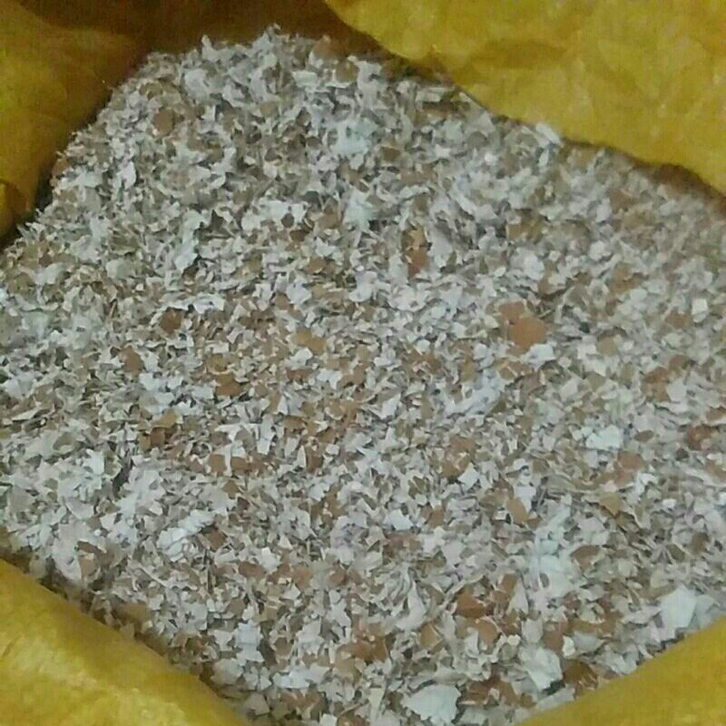 

cangkang telur bersih kering