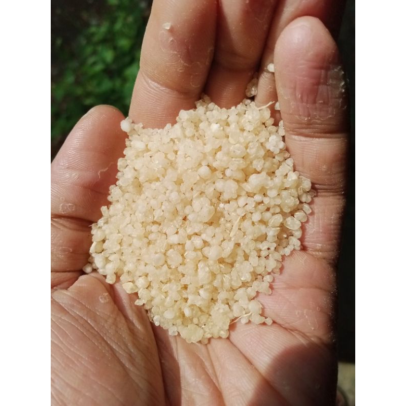 

OYEK | TIWUL SUPER | 1KG | Beras Singkong Instan Enak Murah Berkualitas