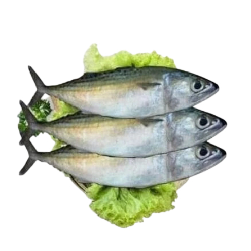 

Ikan Kembung Aruna segar 500 gr