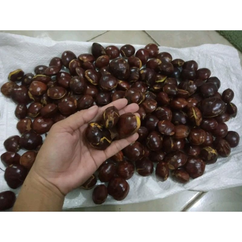 

jengkol Tua enak 500gram