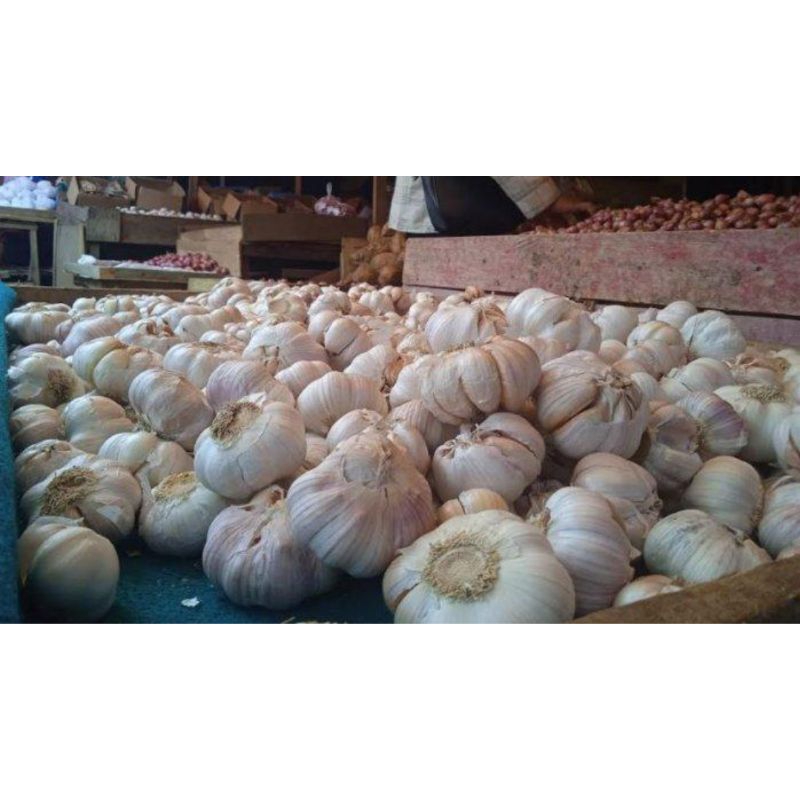 

Bawang Putih 250gr
