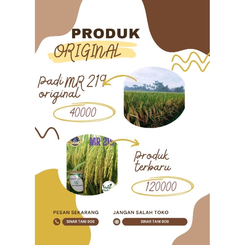 Bibit Benih Padi mr 219 Original Kemasan 5Kg