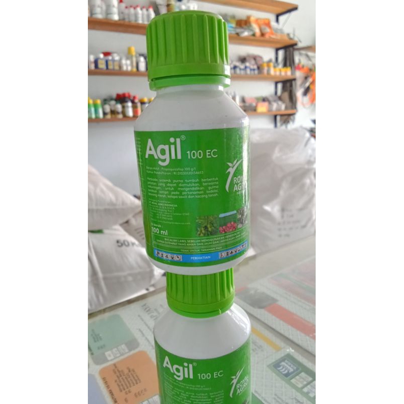 AGIL 100 EC Herbisida selektif pada tanaman ubi jalar, bengkoang, wortel, bawang, cabe, kacang tanah