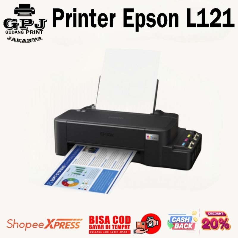 Printer Epson L121 second print only