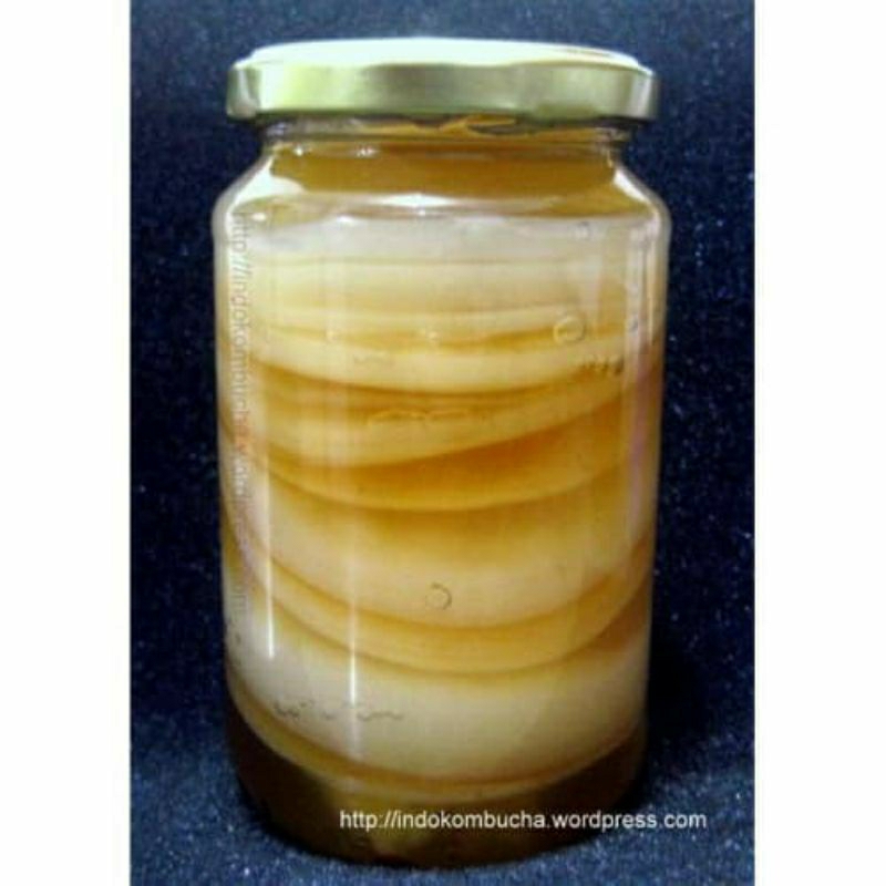 

scoby kombucha Tebal limited