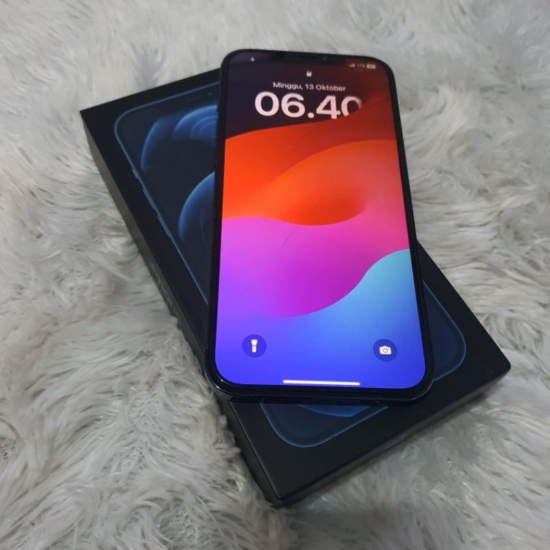 iPhone 12 Pro Max 128Gb