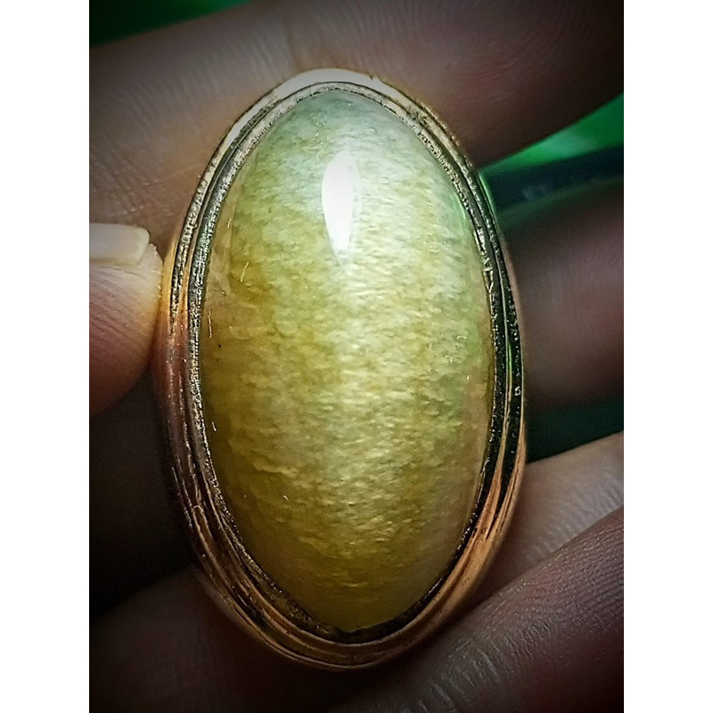 Pandan Nanas Golden sisik Betok