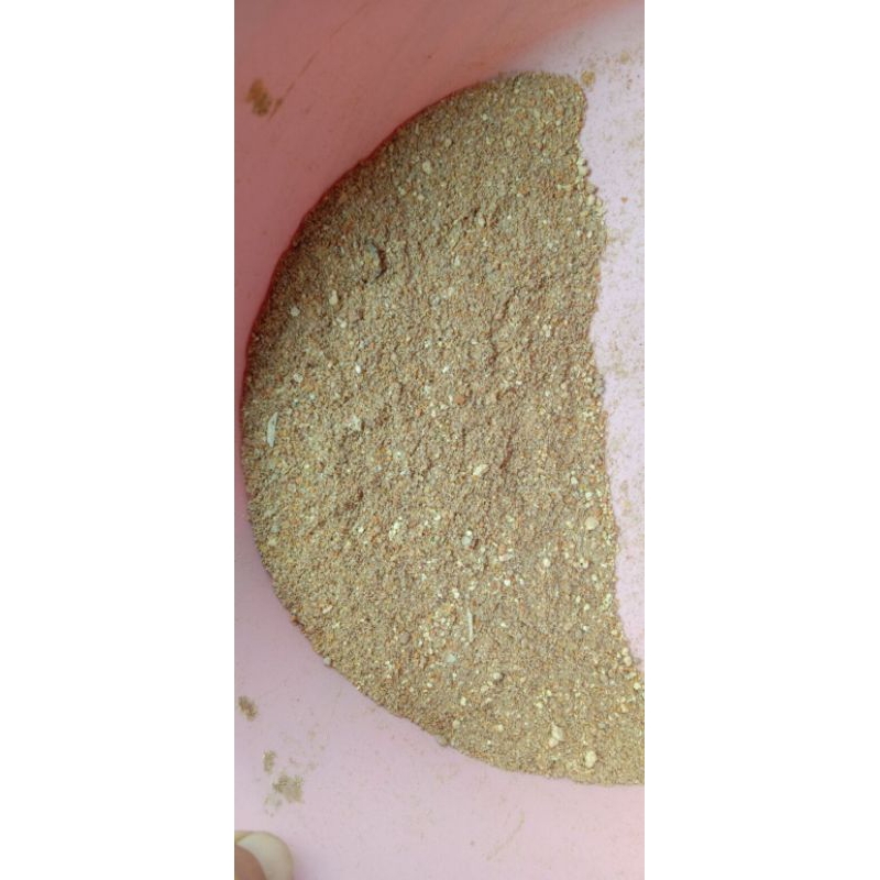 sbm lokal pakan ternak