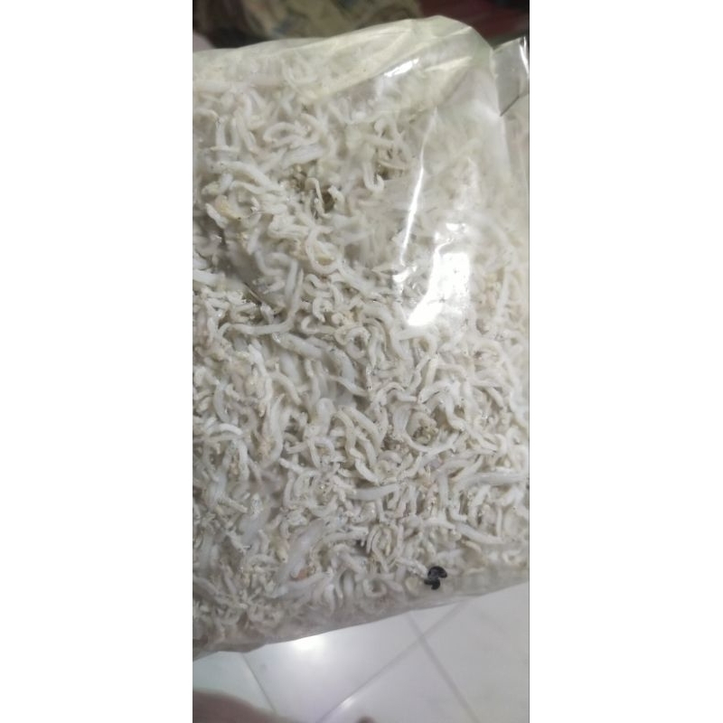 

terinasi medan