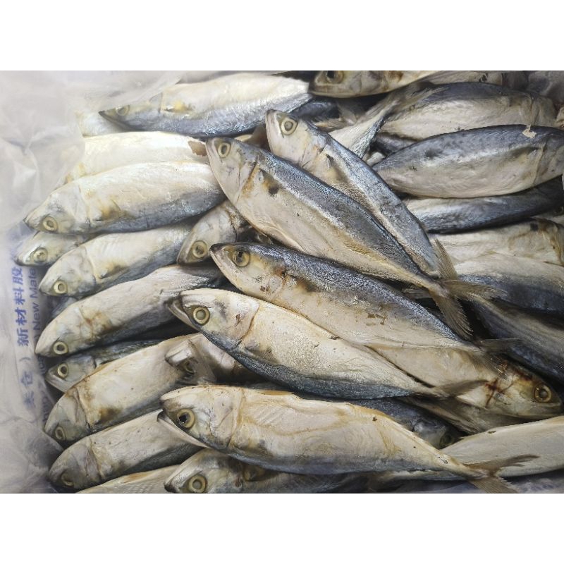 

Ikan asin peda putih 500gr