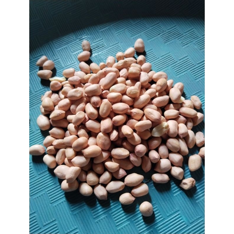 

Kacang Tanah Putih Lokal 50 Kg