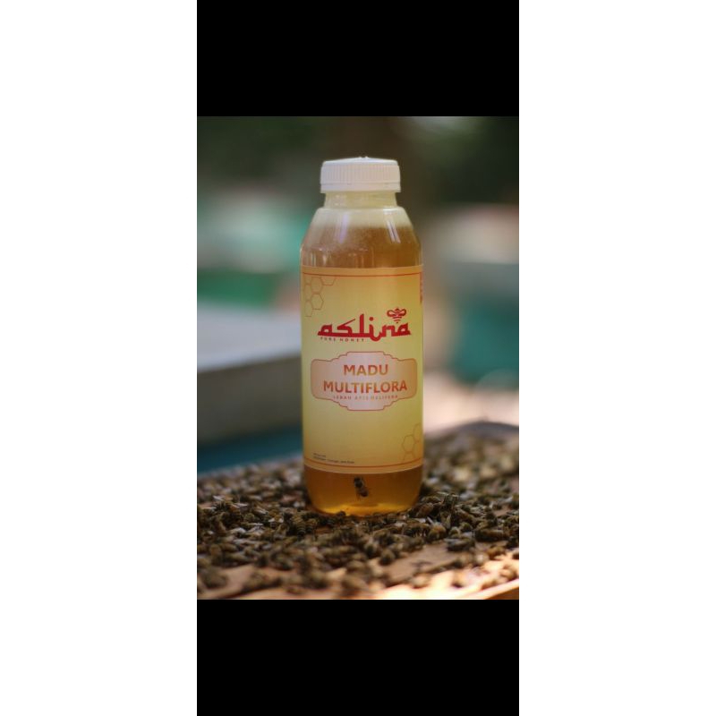 

Madu Aslina Pure Honey 99,9%